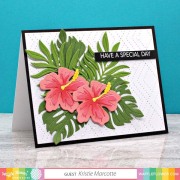 ワッフルフラワー Hibiscus