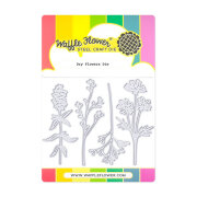 ワッフルフラワー Dry Flowers